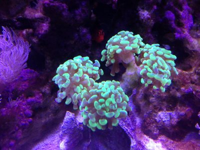 IMG_2081.jpg