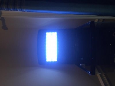All Lights On.jpg