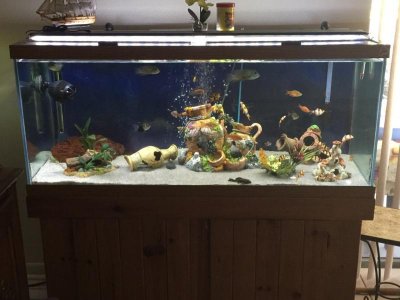 IMG_2855.jpg IMG_2855.jpg