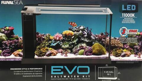 IMG_2856.JPG IMG_2856.JPG