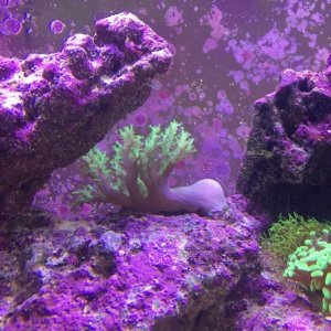 GNday4 (640x640).jpg