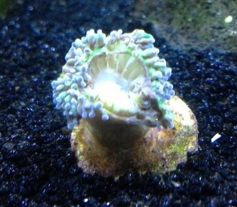 rsz_win_20160828_11_34_14_pro.jpg