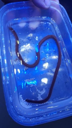 20160817_220131.jpg