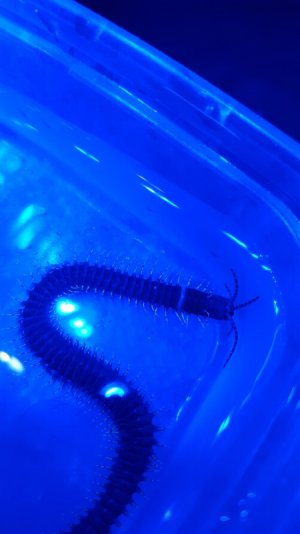 20160817_224211.jpg