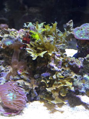 IMG_2696.jpg