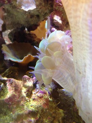 IMG_2064.jpg