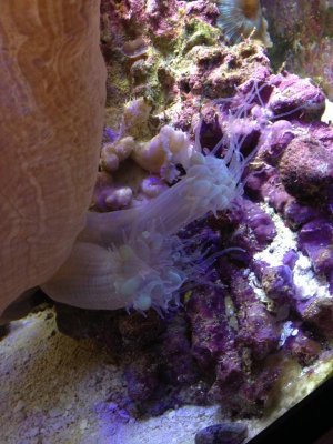 IMG_2063.jpg