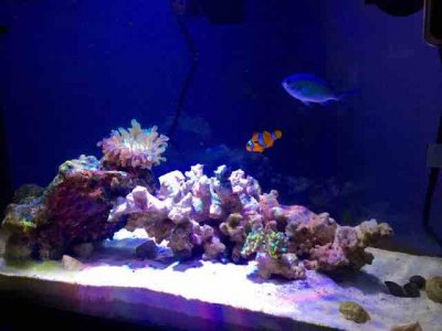 IMG_0274.JPG IMG_0274.JPG