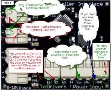 Steve LEDs Diagram.jpg