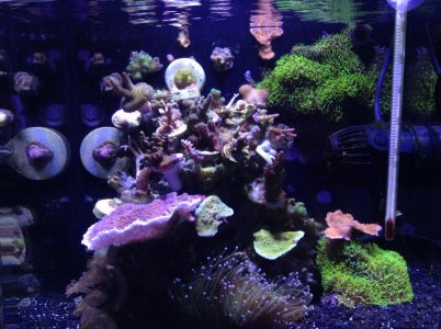 FTS nuvo.jpg