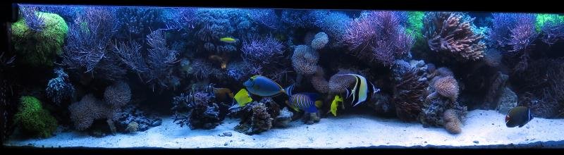 IMG_6583.jpg