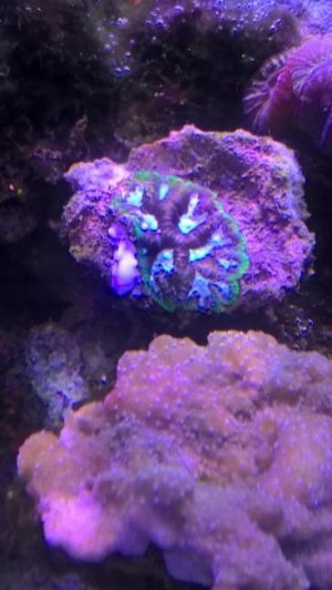 resized(1)(64).jpg