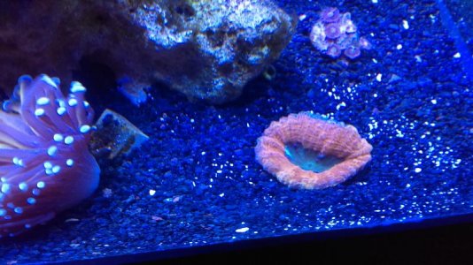 IMAG0187 [103603].jpg