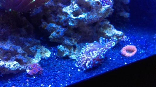 IMAG0188 [105576].jpg