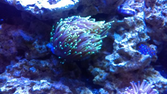 IMAG0191 [107327].jpg