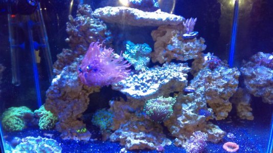 IMAG0186 [109734].jpg