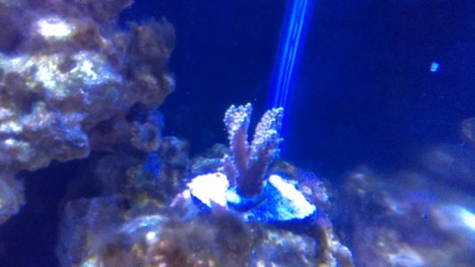 IMAG0180 [111587].jpg