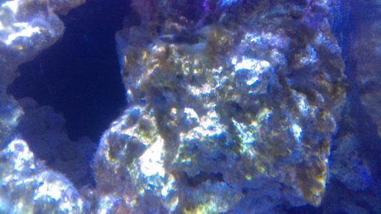 IMAG0179 [111342].jpg