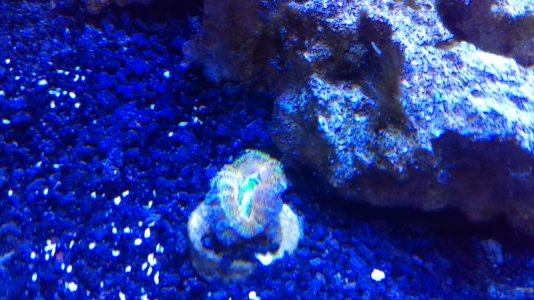 IMAG0190 [106578].jpg