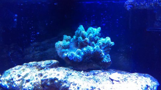 IMAG0196 [102613].jpg