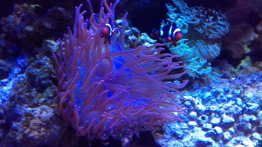 IMAG0195 [102290].jpg