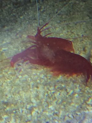 IMG_0939.jpg