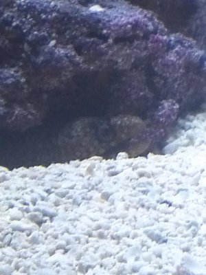 IMG_20160901_202250.jpg