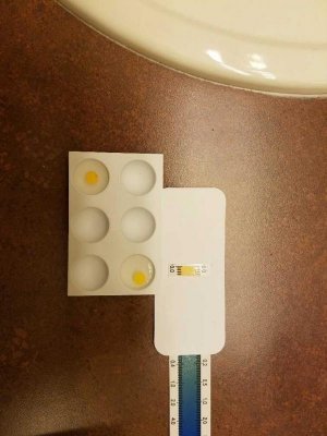 Ammonia Test.jpg