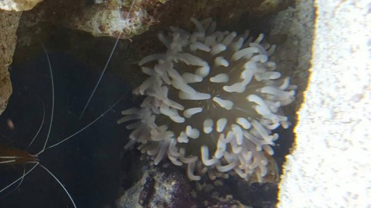 20160903_094322.jpg 20160903_094322.jpg