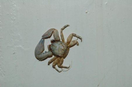 DSC_0059.jpg