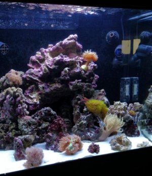 SW 8.8.16.1.jpg SW 8.8.16.1.jpg