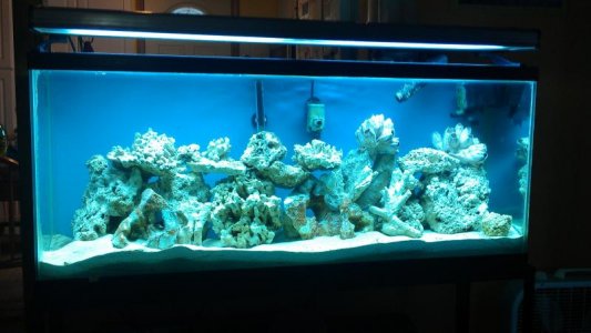 IMAG0530.jpg