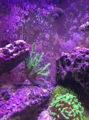 2016-09-06 19.57.12 (480x640).jpg