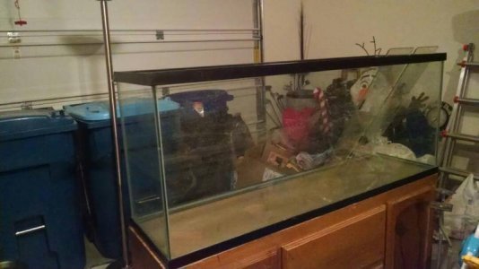 IMG_20160906_231023174.jpg IMG_20160906_231023174.jpg