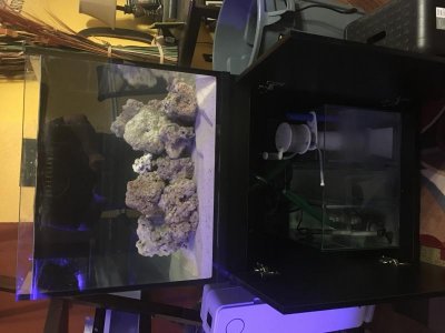 IMG_1843.jpg IMG_1843.jpg