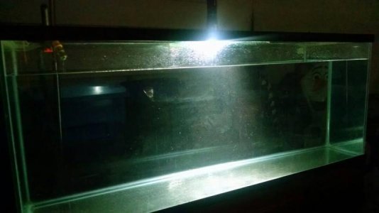 IMG_20160907_223615816.jpg IMG_20160907_223615816.jpg