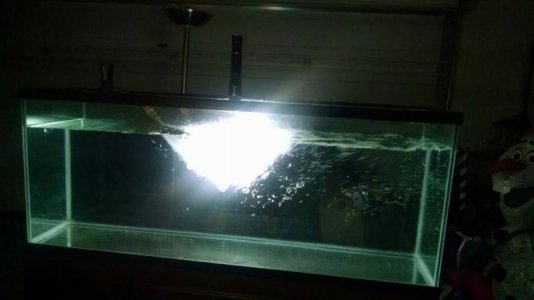 IMG_20160907_223423670.jpg IMG_20160907_223423670.jpg