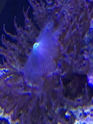 IMG_0619.JPG