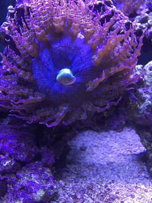 IMG_0618.JPG