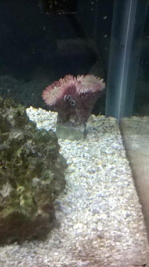 WP_20160908_001.jpg