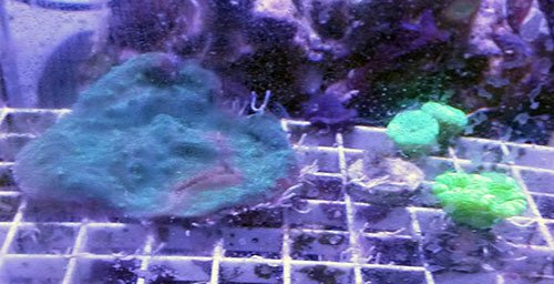 20160908_125658.jpg