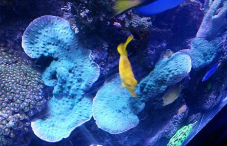 20160908_125911.jpg