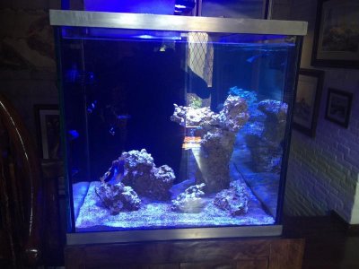 Foto 21-08-16 11 32 25 a.m..jpg