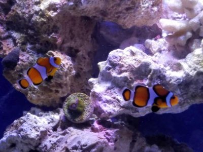 20160907_161552.jpg
