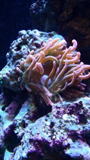 20160915_203242.jpg