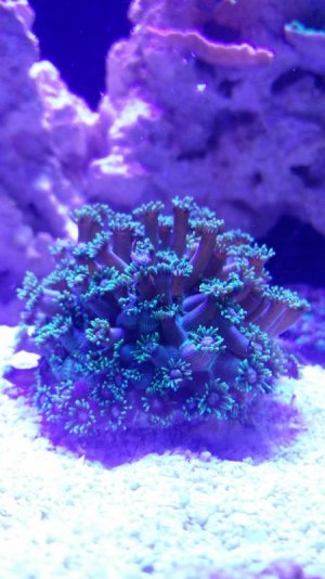 IMG_20160905_184241.jpg