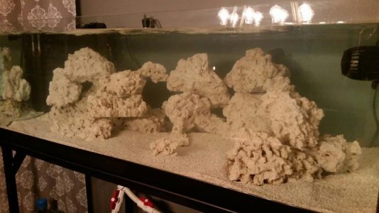 80 Gallon Reef 1.jpg
