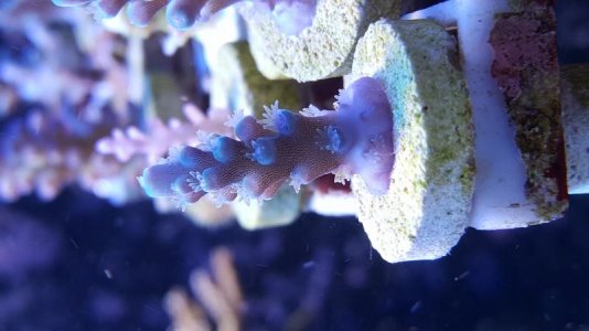 20160910_142855.jpg