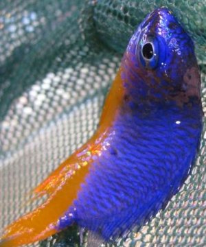 2016-10-20 21_25_29-Inbox - derekc@beyondautomation.com - Outlook.jpg