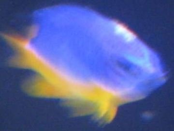 2016-10-20 21_25_20-Inbox - derekc@beyondautomation.com - Outlook.jpg